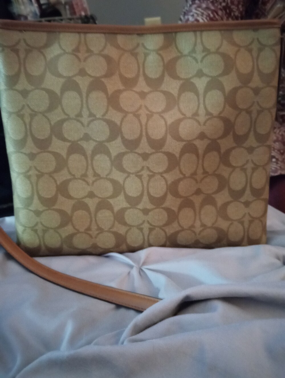 Coach Vintage Buggy Crossbody with Red and Purple Stripe NO CALL OUTS OFFERS WEL - Picture 3 of 8